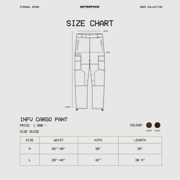 INTERFVCE CARGO PANT CHOCO - Image 4
